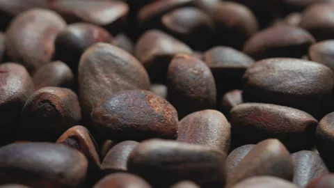 Weight of pine nuts closeup rotation Stock Footage 91406261