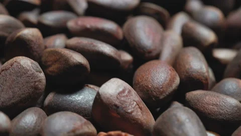 Weight of pine nuts closeup rotation Stockbeeldmateriaal 91406274