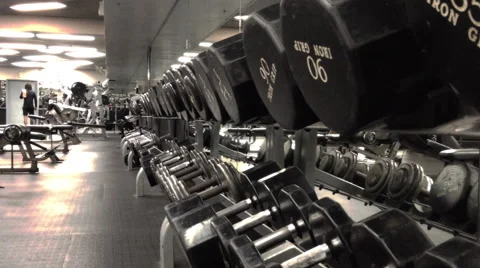 Weight Rack at Gym 動画素材 41072678