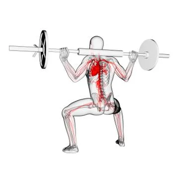 Weightlifter, artwork Stock Illustration