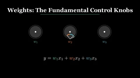 Weights - the fundamental control knobs 動画素材 338030227