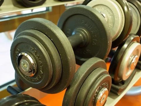 Weights in gym 스톡 사진