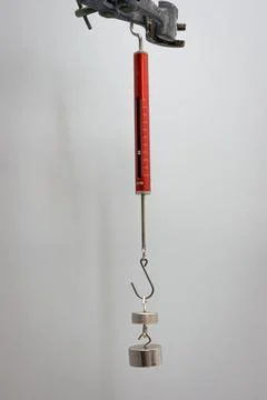 Weights hang from a dynamometer to measure force Stock Photos
