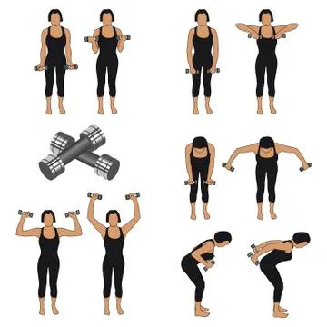 Weights positions Stock Illustration