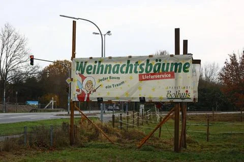   Weihnachtsbaum Verkaufstand Hamburg Hamburg Deutschland *** Christmas tr... Stock Photos