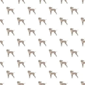 Weimaraner dog cartoon pattern seamless background 스톡 일러스트