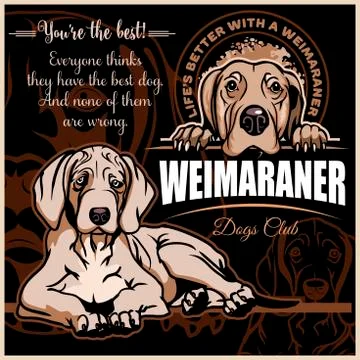 Weimaraner - vector set for t-shirt, logo and template badges on dark background Stock Illustration