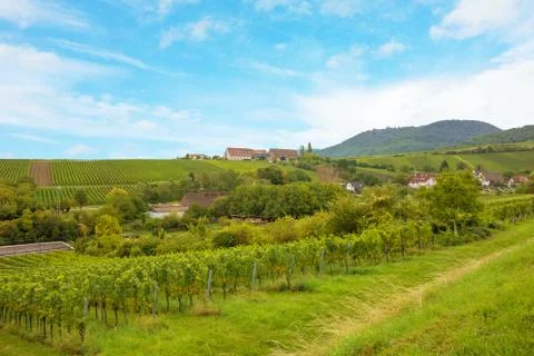 Weinstrasse, Germany Stock Photos