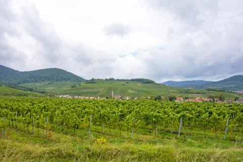 Weinstrasse Stock Photos