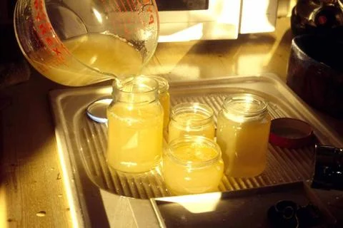  Weintraubengelee in Gläser füllen, Marmalade Zubereitung Copyright: xZoon. Stock Photos