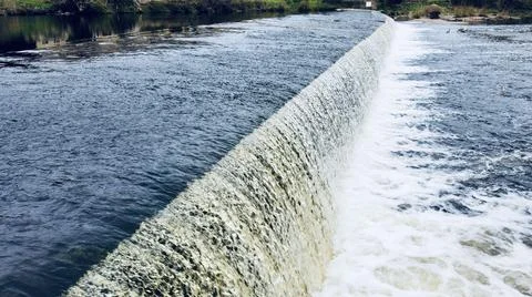 Weir a bit close 스톡 사진