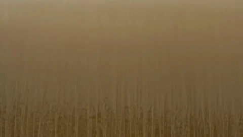 Weir Flooding Slow Motion Stock Footage 168388637