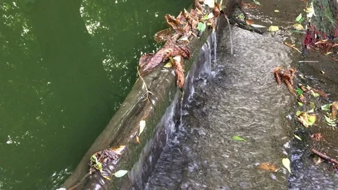 Weir in the forest stream Stock Footage 79097902