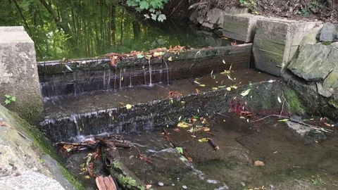 Weir in the forest stream Stock Footage 79097909