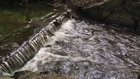 Weir in the forest stream Stock Footage 79097943