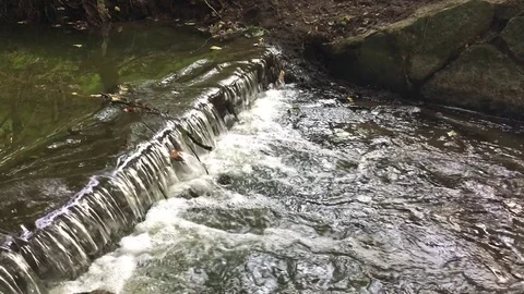 Weir in the forest stream Stock Footage 79097952