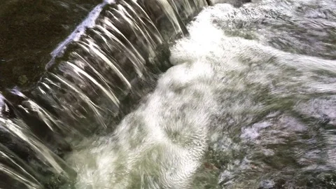 Weir in the forest stream Stock Footage 79098026