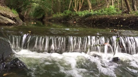 Weir in the forest stream Stock Footage 79098028