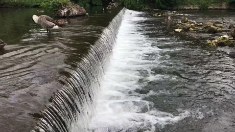 Weir / Waterfall / River scene with small rocks Video stock 136157840