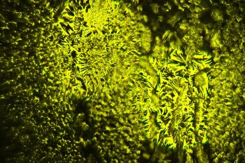 Weird abstract backlit ice patterns on frozen glass with bizarre lines, curve Foto stock