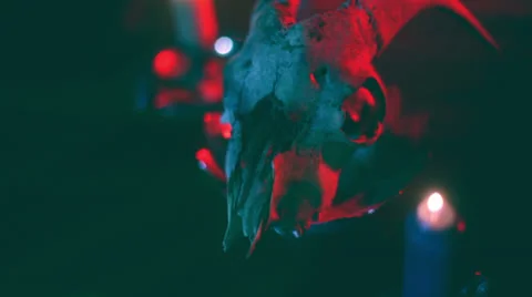 Weird goat skull 스톡 동영상 22715995