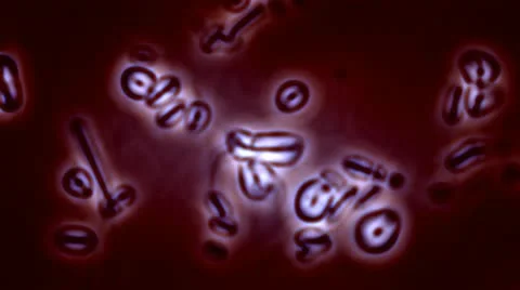 Weird Microscopic Molecular Particles Stock Footage 12608936