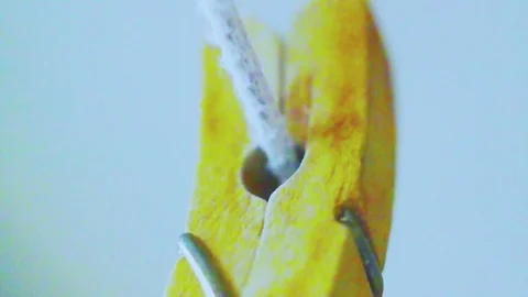 Weird object motion Stock Footage 95082475