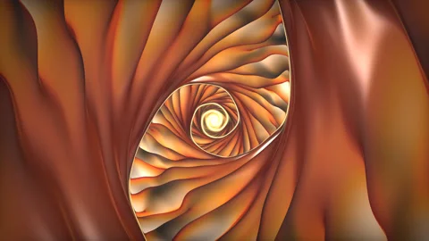 Weird Organic Conche Conch Shell Interior Folds Stock Footage 143910181