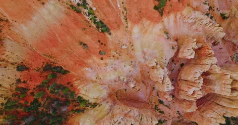 Weird rock columns in Bryce Canyon, Utah. Little greenery growing near the road  Stock Footage 213330945