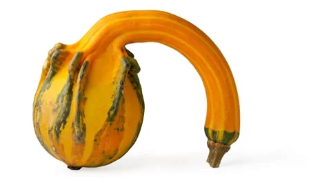 Weird shaped pumpkin Stock-Footage 8848584