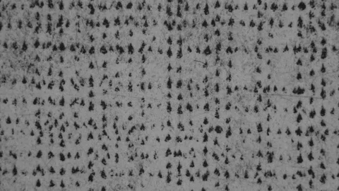 Weird textured surface. transition empty space with room for text. Stock Footage 102203733