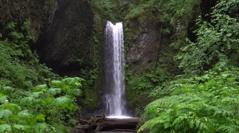 Weisendanger Falls, Columbia River Gorge National Scenic Area, Oregon Stock Footage 63304331
