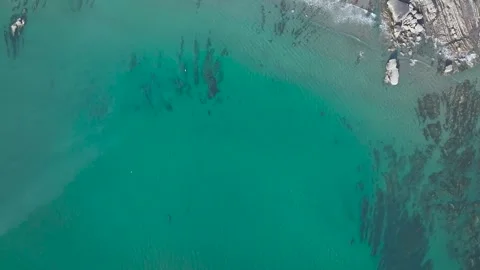 Welcombe Mouth Beach, North Devon and Cornwall Coastpath Border, Devon, England Stock Footage 342076022