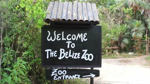 Welcome to Belize Zoo Stock Footage 46029148