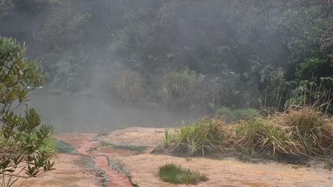 Welcome Flat Hut Hot Pools Stock Footage 160148338