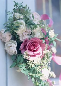 Welcome Flower Stock Photos