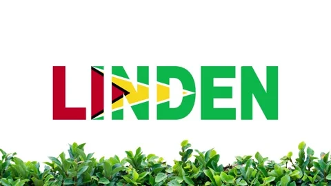 Welcome to linden video 스톡 동영상 233184808