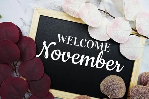 Welcome November text with eucalyptus leaf decorated on marble background 写真素材