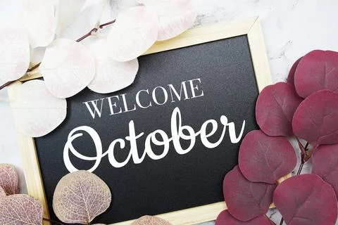 Welcome October text with eucalyptus leaf decorated on marble background 写真素材