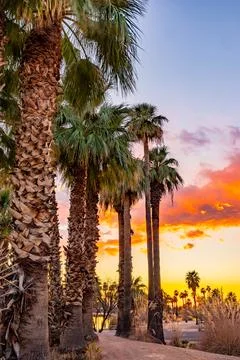 Welcome To Phoenix Foto stock