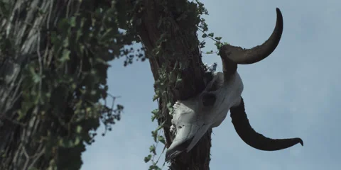 Welcome to the Ranch Stock Footage 44265472