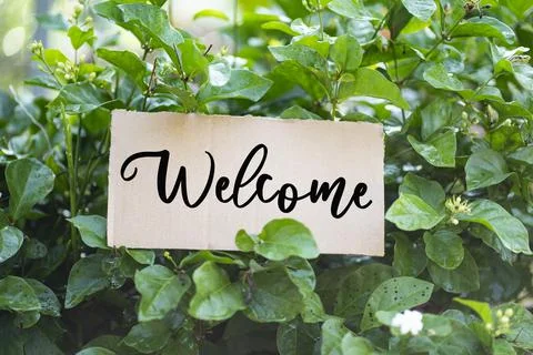 Welcome sign on a cardboard between the leaves Stock Photos