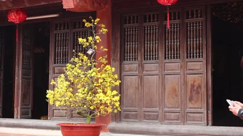 Welcome in the spring cherry blossoms bloom, family Stock Footage 47456267