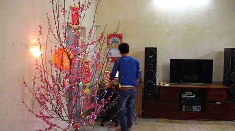 Welcome in the spring cherry blossoms bloom, family Stock Footage 47457294