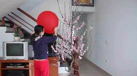 Welcome in the spring cherry blossoms bloom, family Stock Footage 47457393