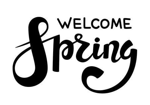 Welcome Spring quote hand drawn calligraphy Stock Illustration