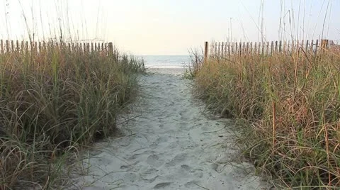 Welcoming beach Stock Footage 11145823