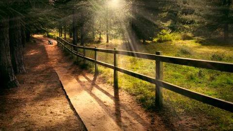 Welcoming path Stock Photos