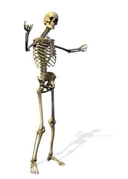 Welcoming Skeleton Stock Illustration