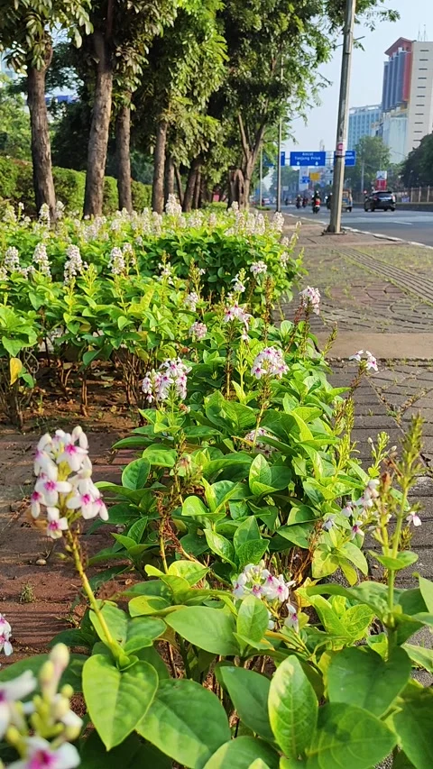 WELCOMING SUN RAYS Stock Footage 328688173